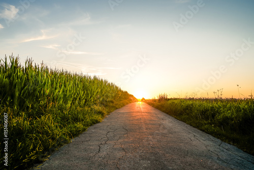 Obraz na plátne Path through the field in the Möhnetal as the sun sets