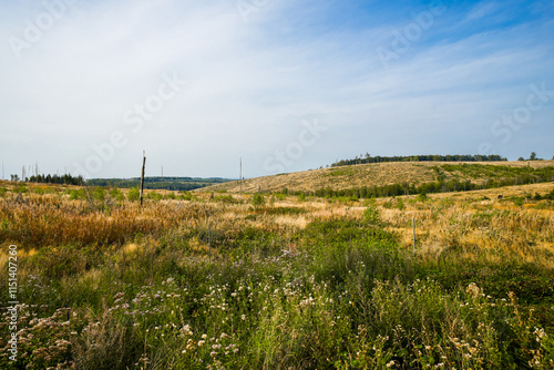 Landscape at the Loermecke tower near Mechede. Nature in the Sauerland.
 photo