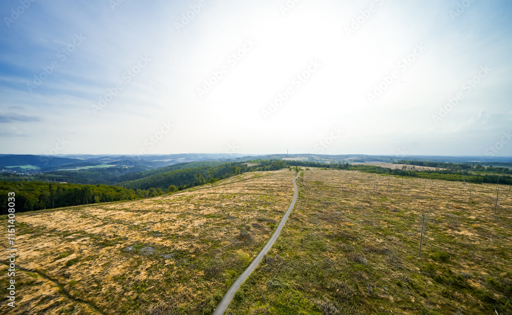 Fototapeta premium Landscape at the Loermecke tower near Meschede. Nature in the Sauerland.
