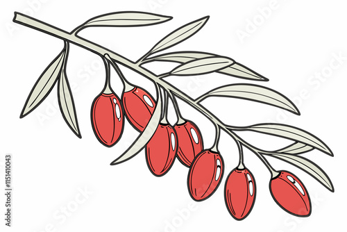 Goji Berry, Elongated berry hanging from a delicate branch vector silhouette on a white background