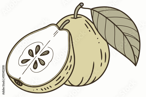 Quince - Rounded shape with a textured leaf detail vector silhouette on a white background