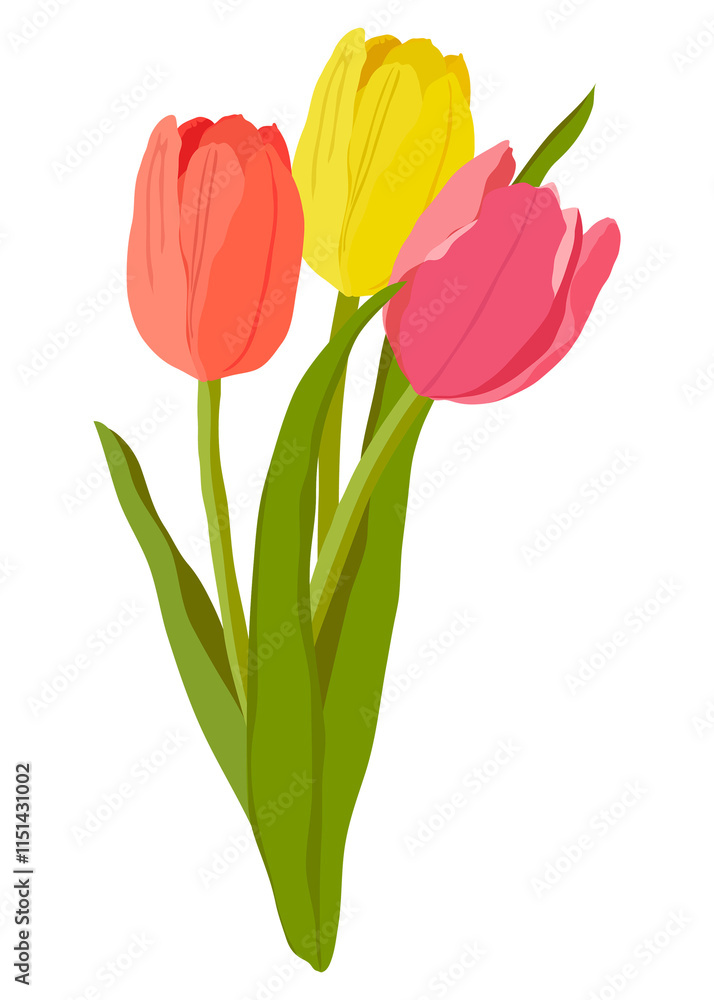 Fototapeta premium Tulip flower png sticker, colorful realistic illustration on transparent background