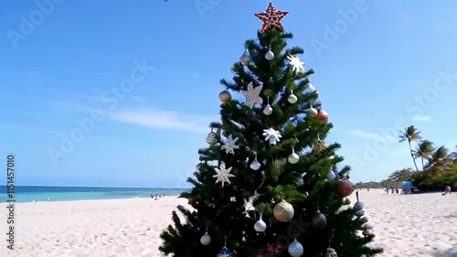 christmas tree on the beach