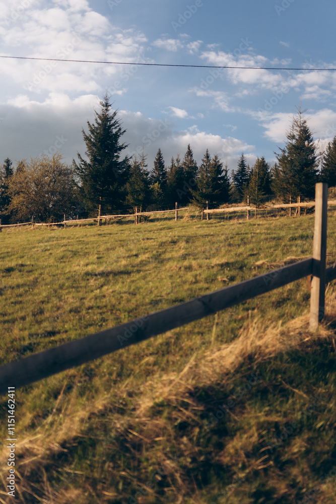Fototapeta premium A peaceful shot of a rustic wooden fence running through a green meadow, with a dense forest of evergreen trees in the background.