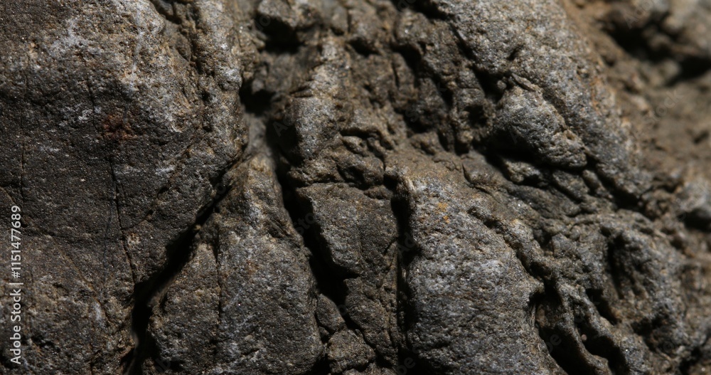 Close-Up of Weathered Rock with Deep Cracks and Rough Texture Close-Up of Weathered Rock with Deep Cracks and Rough Texture
