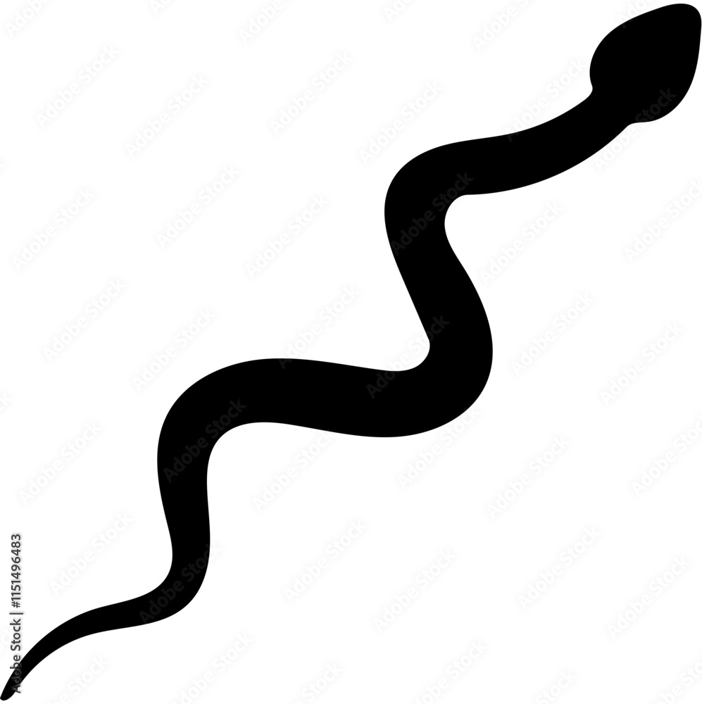 black snake isolated on white black snake isolated on white