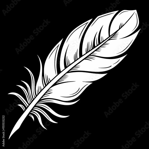 feather on black  background