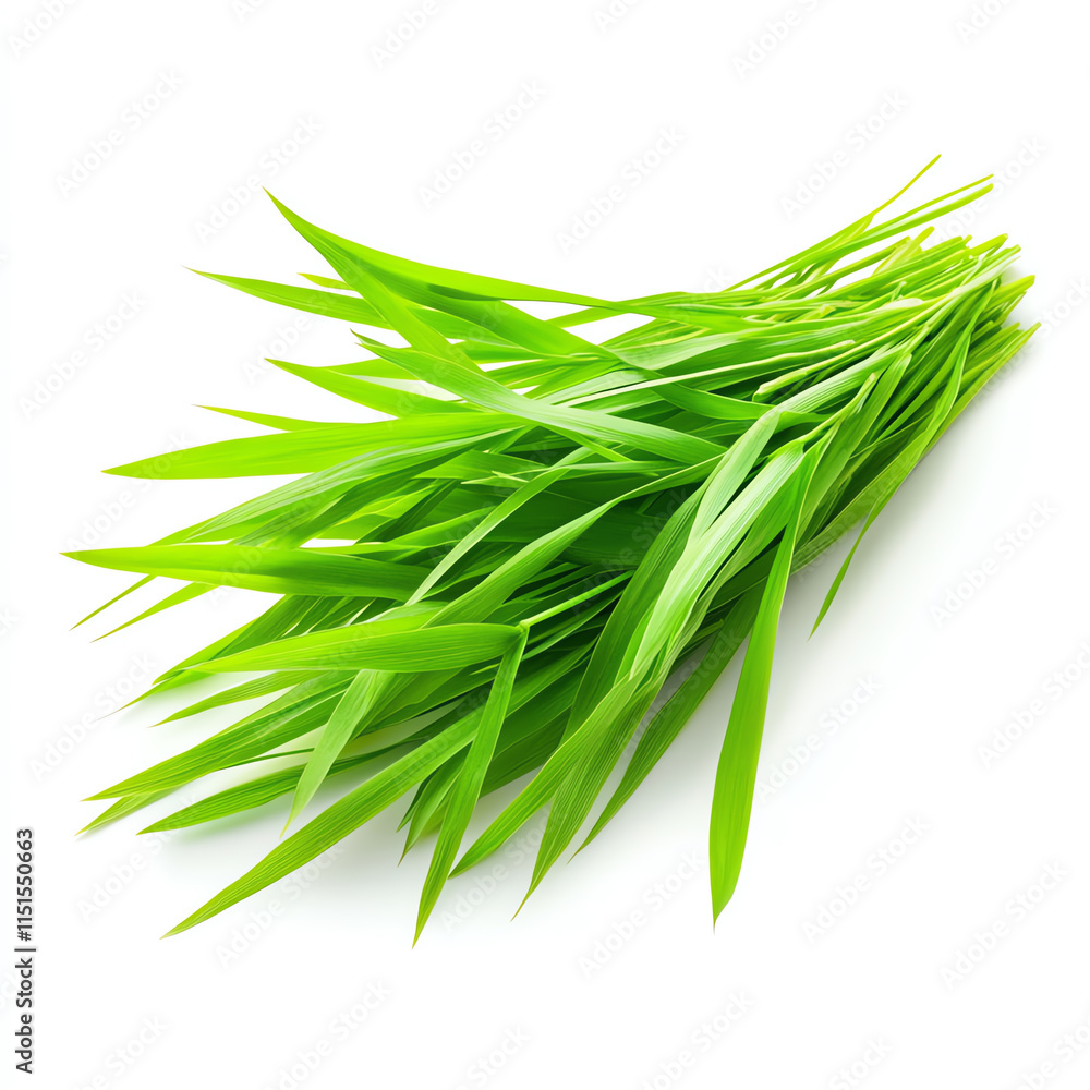 Fototapeta premium Fresh green grass bunch, perfect for nature themes. Isolated on white background for versatile use.