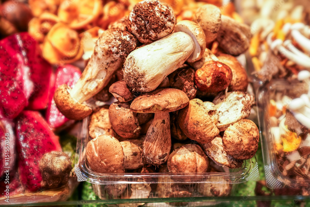A fresh collection of porcini mushrooms, earthy and robust, displayed among other gourmet mushrooms, perfect for culinary uses in sophisticated and flavorful dishes. A fresh collection of porcini mushrooms, earthy and robust, displayed among other gourmet mushrooms, perfect for culinary uses in sophisticated and flavorful dishes.