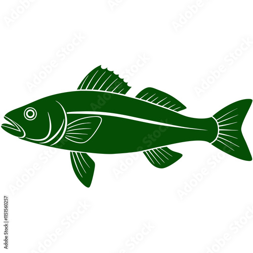 fish on a white background