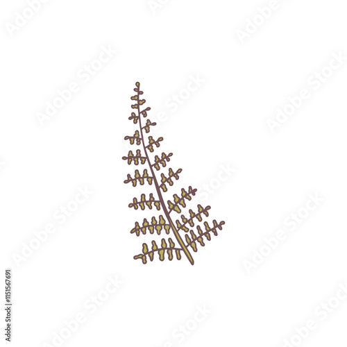 Fern plant leaf vector flat icon, tropical leaves, fragrance seasoning grass, natural aromatic condiment, farm wild herb
