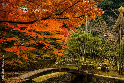 紅葉