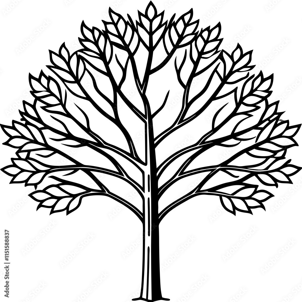 Obraz premium silhouette of tree
