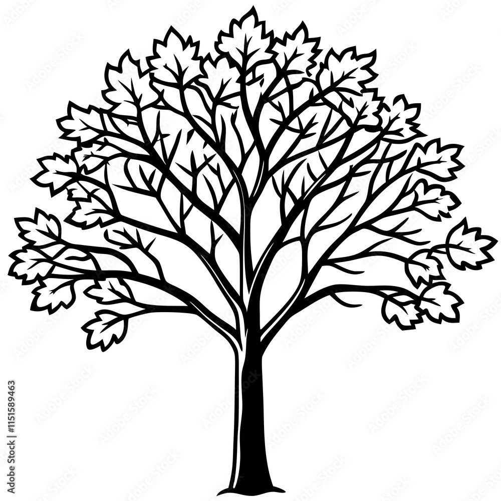 Obraz premium silhouette of tree