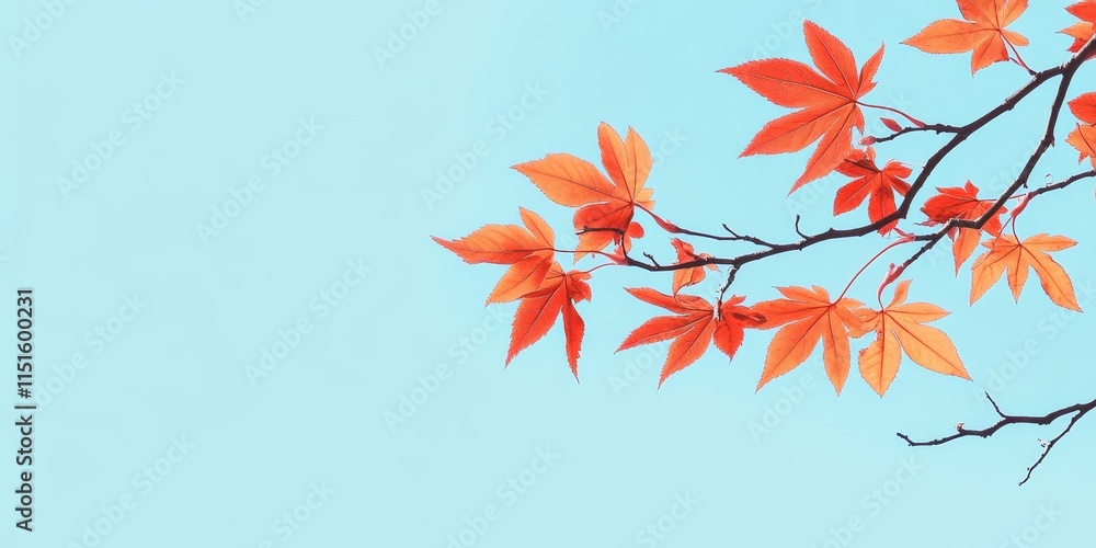 Maple branch adorned with vibrant leaves set against a clear blue sky backdrop, showcasing the natural beauty of the maple branch and its lush foliage in serene outdoor settings. Maple branch adorned with vibrant leaves set against a clear blue sky backdrop, showcasing the natural beauty of the maple branch and its lush foliage in serene outdoor settings.