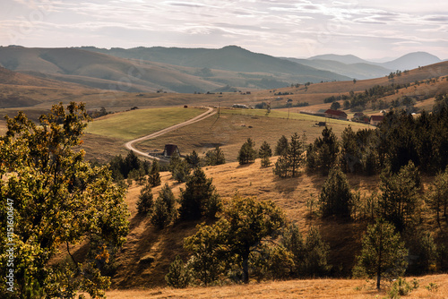 Obraz na płótnie Zlatibor Mountain Panoramic Morning Landscape w salonie