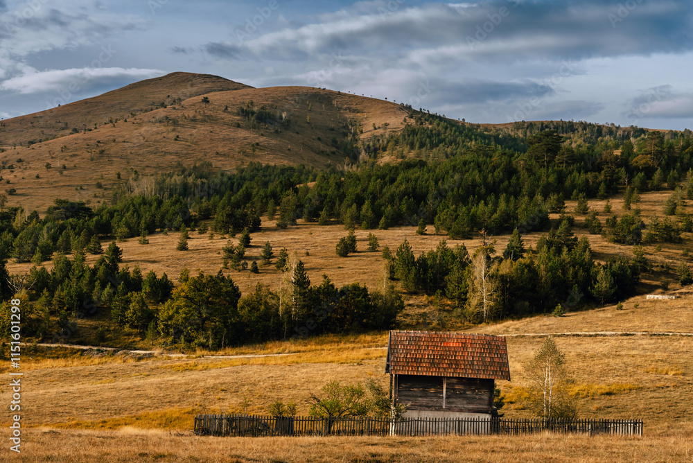 Zlatibor Mountain Landscape with Rural House