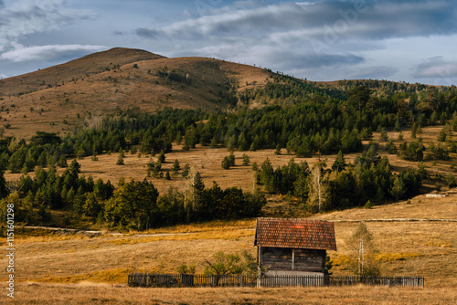 Obraz na płótnie Zlatibor Mountain Landscape with Rural House w salonie