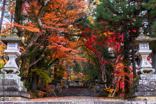 241119日枝神社Z019
 photo