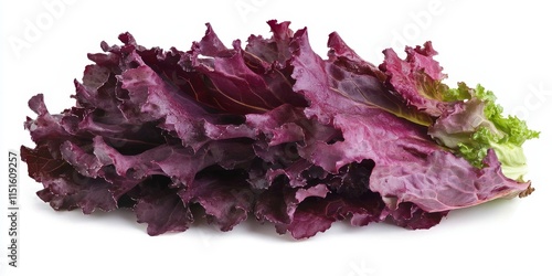 Isolated purple lettuce leaf on a white background showcases the vibrant color of red oakleaf lettuce, perfect for enhancing salads and healthy dishes with its unique texture and flavor. photo