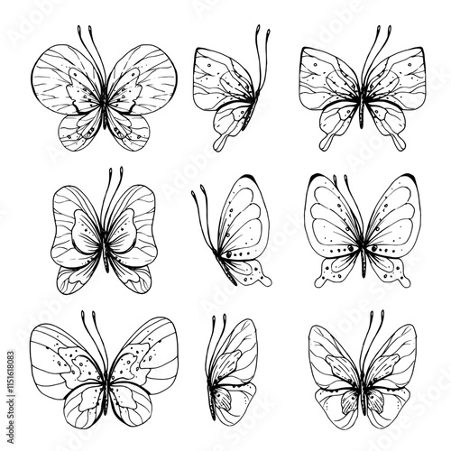 Butterflies flying, delicate line art, clip art. Graphic illustration hand drawn in black ink. Set of isolated objects EPS vector