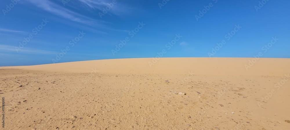 Naturaleza: entre la duna y el cielo Naturaleza: entre la duna y el cielo