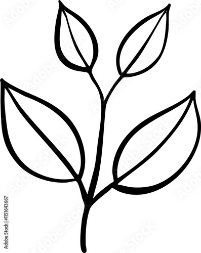 hand drawn illustration of leaves.