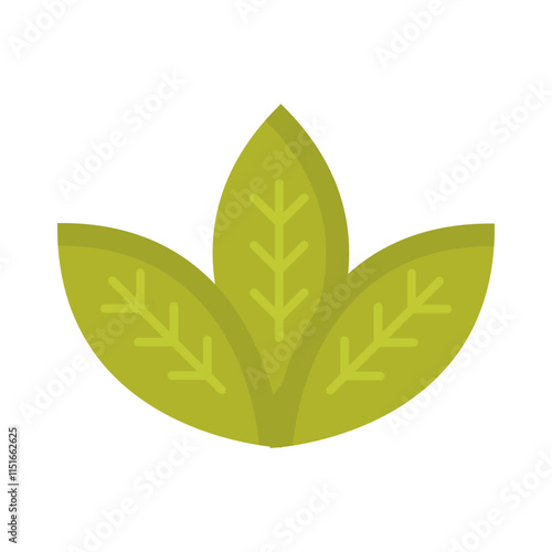 Spearmint Vector Icon