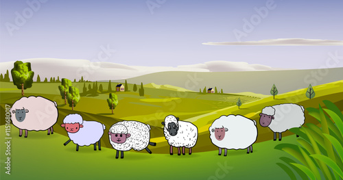 Sheeps, lambs,goats  on farm yard landscape village background vector illustration.
