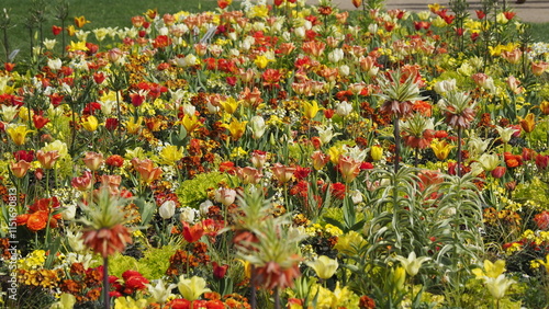 Schönes Blumenbeet