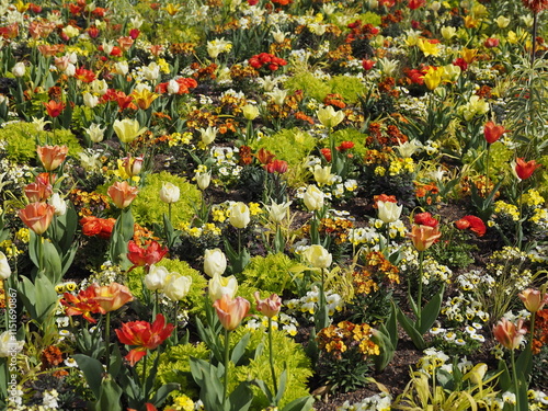 Schönes Blumenbeet