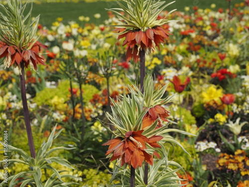 Schönes Blumenbeet