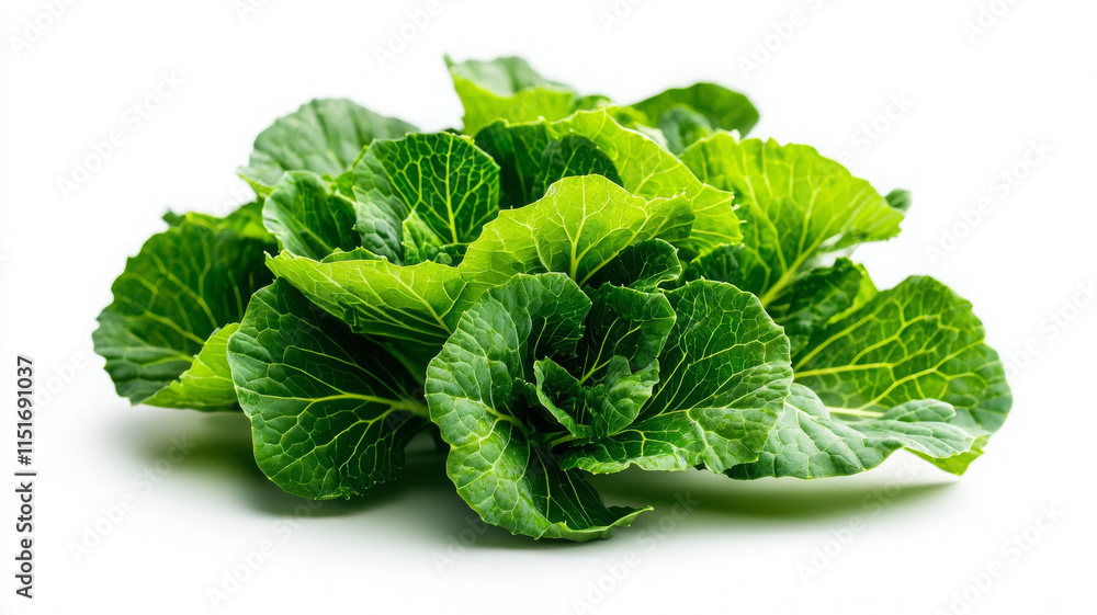 Fresh green kale leaves arranged beautifully on white background Fresh green kale leaves arranged beautifully on white background