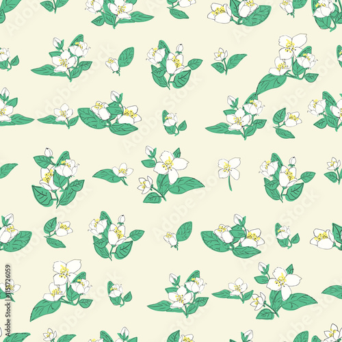 Seamless vector pattern with jasmine flowers and green leaves. Floral background illustration.