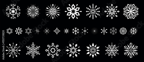 Snowflakes icon collection. Graphic modern black and white ornament