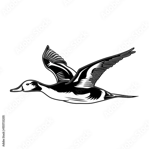 pintail duck hunting illustration logo vector image t shirt