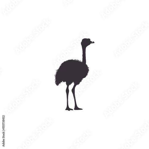 Silhouettes Ostrich animal icon set vector illustration. Isolated on white background. photo