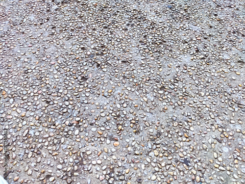 Cobblestone pathway featuring smooth, rounded stones in a natural arrangement under natural light photo