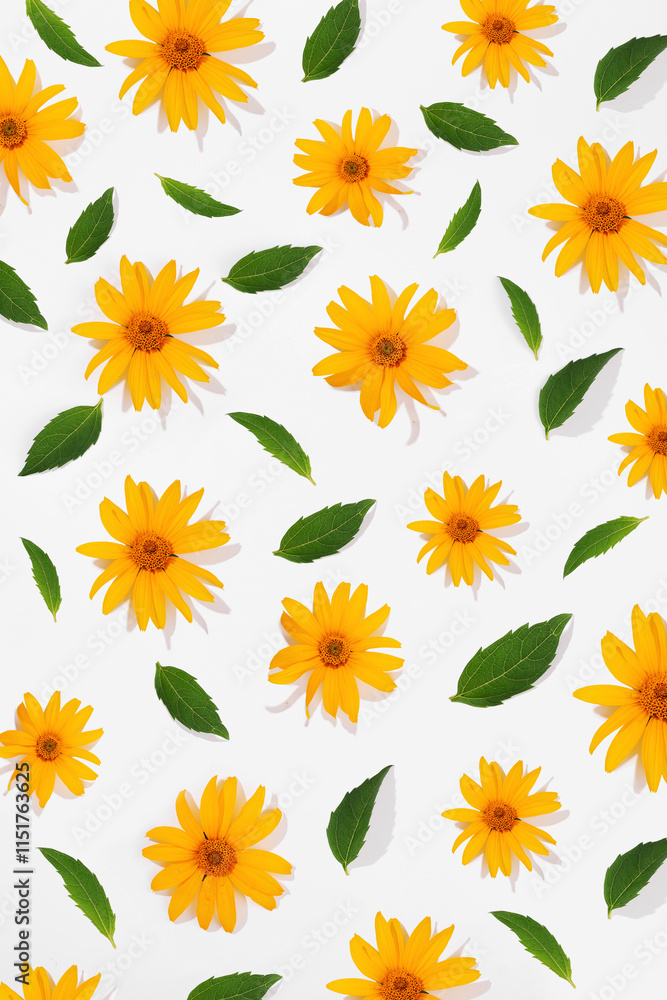 Pattern of colorful minimal flower on white background. Concept of gardens, summer flowers and warm Pattern of colorful minimal flower on white background. Concept of gardens, summer flowers and warm