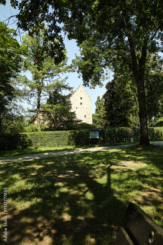 Obraz premium Haus im Wald