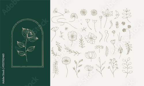 Modern vector-style illustration of boho-inspired floral and botanic design elements in wavy and vintage style., easily editable.