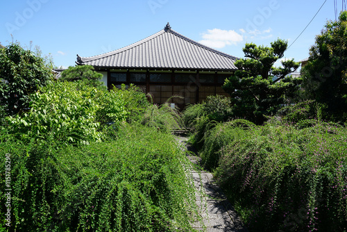 京都の仏教寺院の庭に咲く萩の花 photo