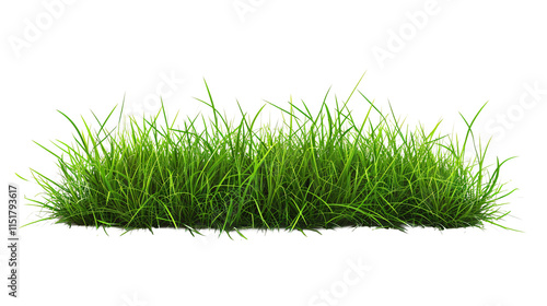 a patch of grass on a white background