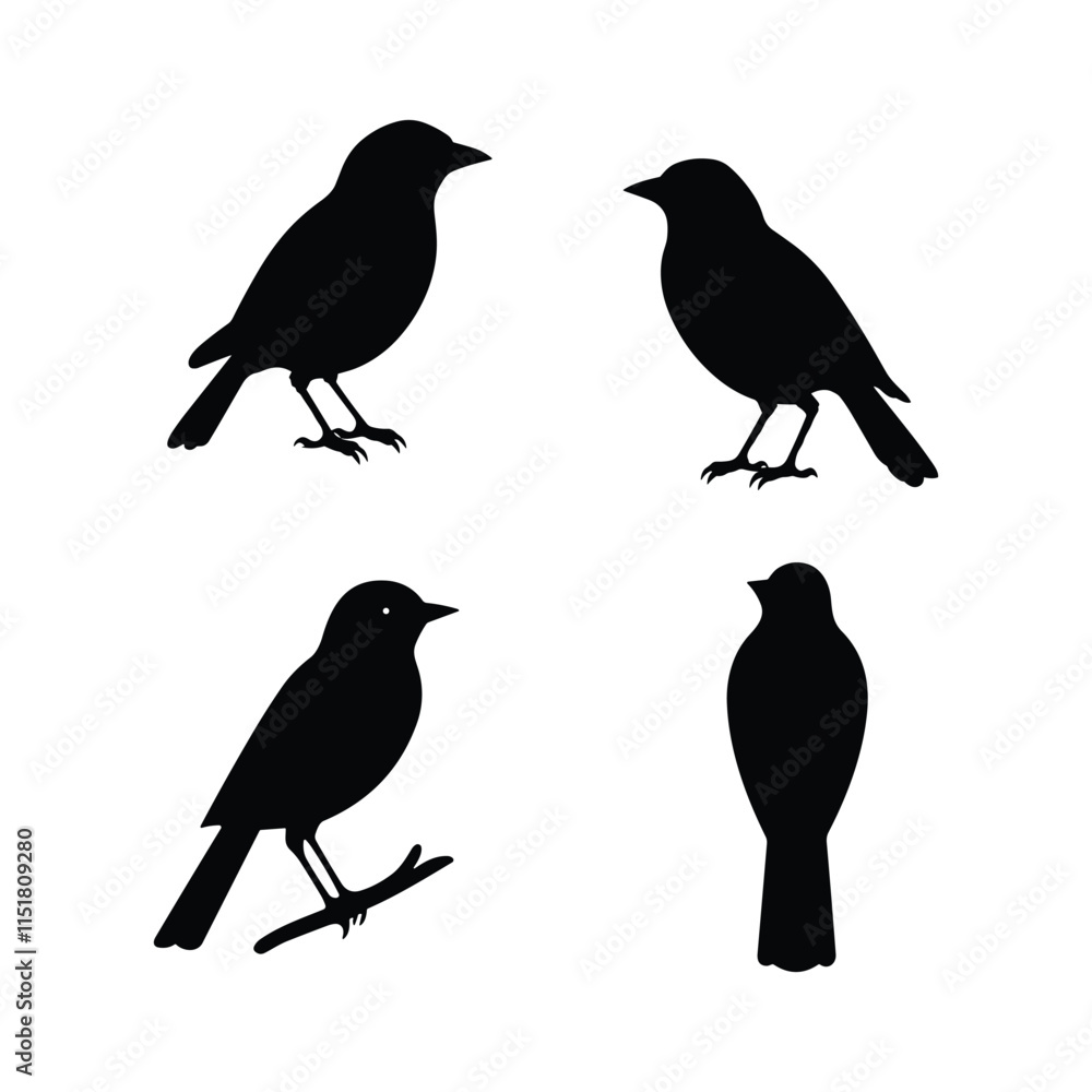 Bird Silhouette Collection , Flying and Perched Birds Vectors set Bird Silhouette Collection , Flying and Perched Birds Vectors set
