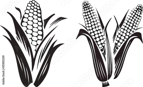 Print  Corn stalk black and white vector design
