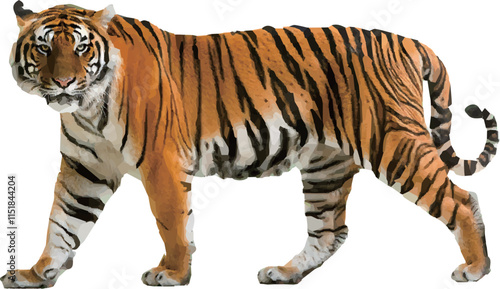 Bengal Tiger Illustration in Full Stride