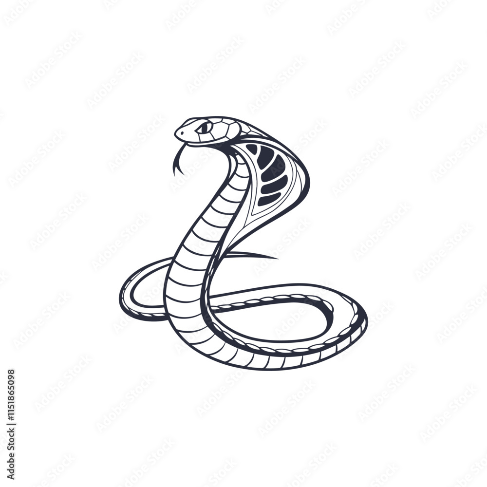 King cobra, Ophiophagus hannah, venomous snake against King cobra, Ophiophagus hannah, venomous snake against