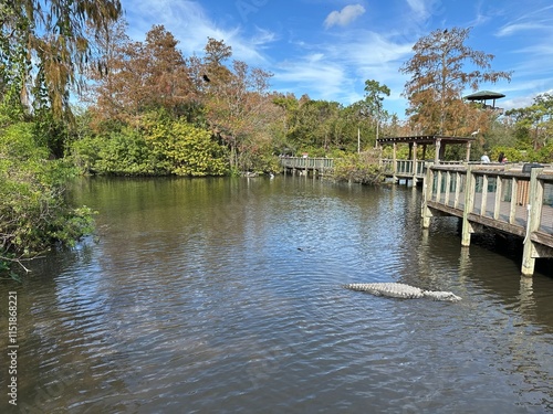 house in the water with alligators 