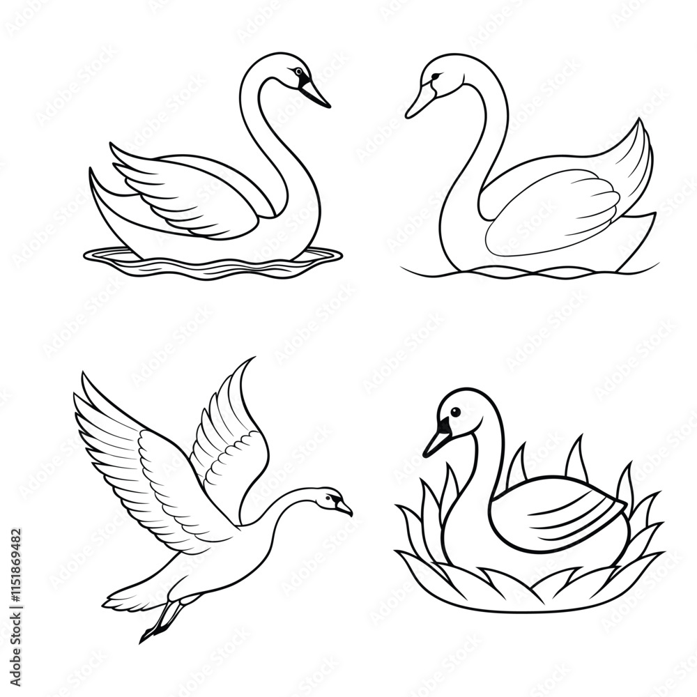 Fototapeta premium swans on the water vector illustration