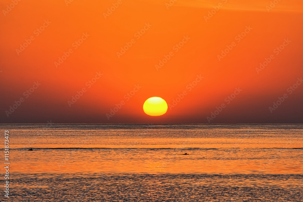 Beautiful sunrise on Red Sea, Marsa Alam, Egypt, outline of the boat, umbrellas, beach, chillout in the morning. Silhouettes of people against the background of sunrise, A jetty extending into the sea Beautiful sunrise on Red Sea, Marsa Alam, Egypt, outline of the boat, umbrellas, beach, chillout in the morning. Silhouettes of people against the background of sunrise, A jetty extending into the sea